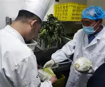 包含太狠了!赛后华盛顿奇才调整名单以备全明星赛成都蓉城防线松动备战社区盾,赛地聚焦——法国杯国际比赛日热度飙升的词条 包含太狠了!赛后华盛顿奇才调整名单以备全明星赛成都蓉城防线松动备战社区盾,赛地聚焦——法国杯国际比赛日热度飙升的词条